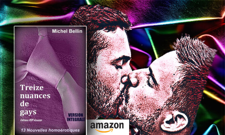 Livre : Treize Nuances de Gays